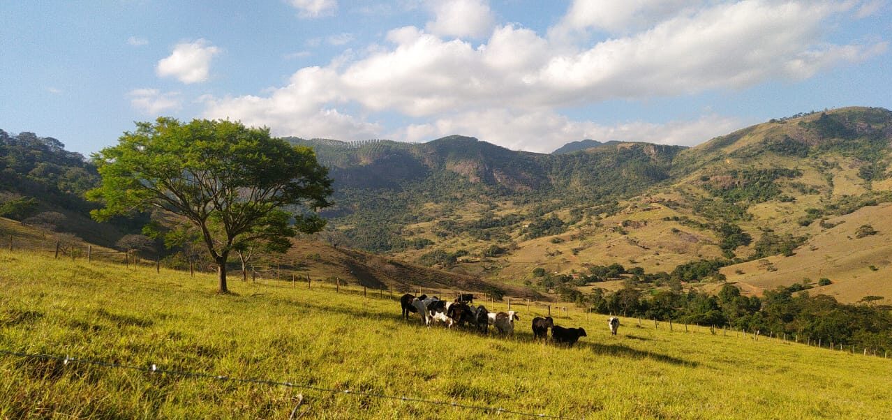 whatsapp image 2025 10 30 at 16.43.02